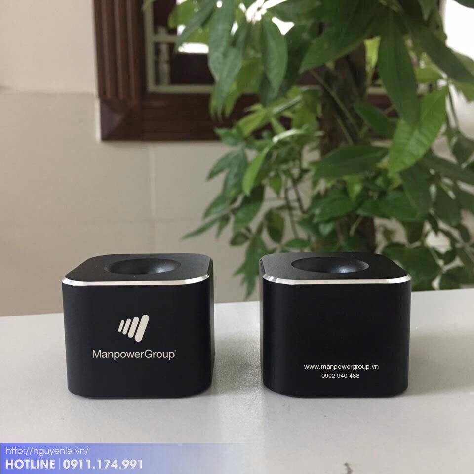 LOA BLUETOOTH IN LOGO THEO YÊU CẦU